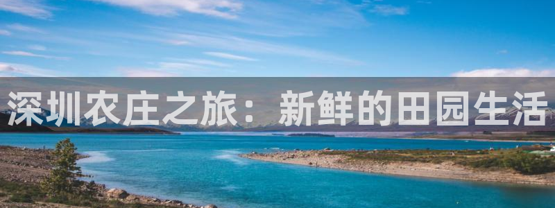 摩根娱乐代理