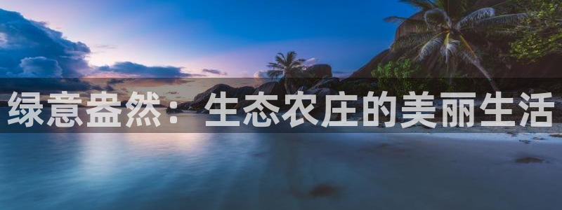 摩根娱乐和摩根国际