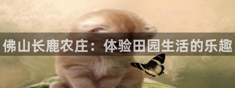 摩根娱乐宝招商