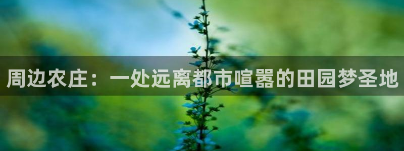 摩根大通收购娱乐公司