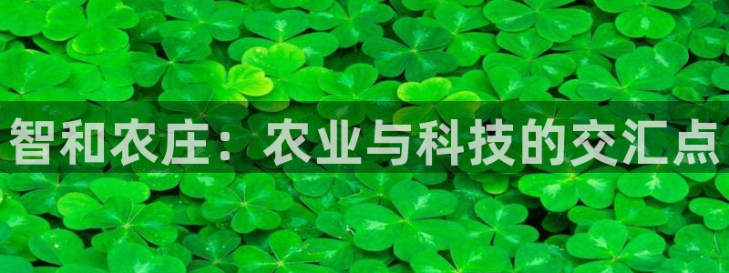 泉州摩根会娱乐保安公司