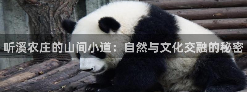 摩根娱乐宝合法吗
