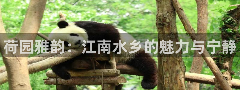 摩根时代资阳娱乐场所