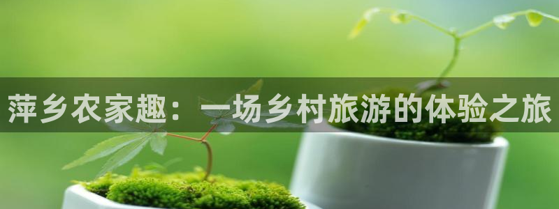 义乌摩根娱乐招聘少爷