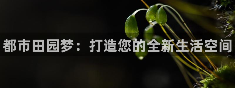 摩根娱乐宝.知道吗