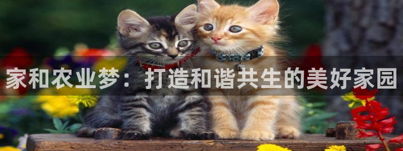 摩根娱乐宝的代理方式