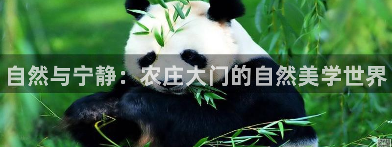 摩根娱乐平台注册