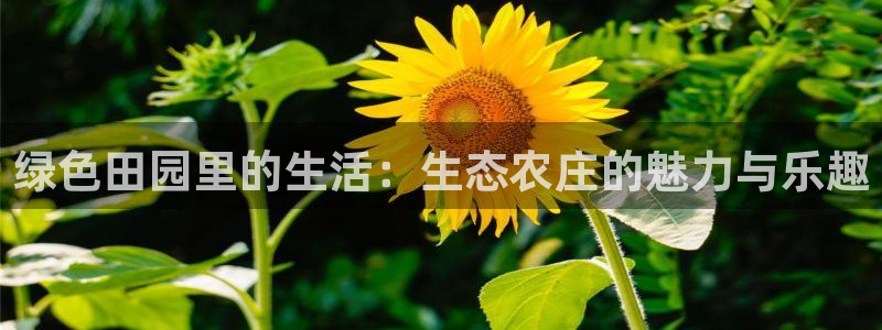 摩根国际娱乐宝官网下载