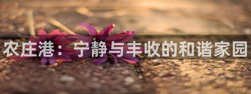 泉州白宫摩根娱乐会所