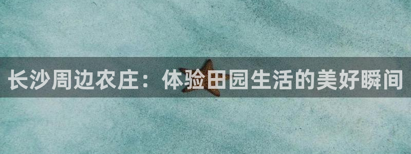 摩根大通黄金娱乐目标价