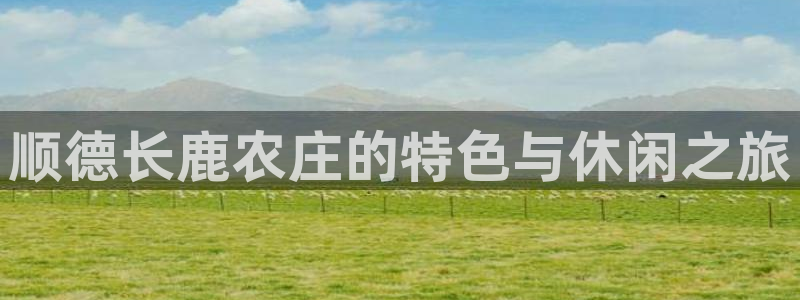 摩根娱乐宝是什么