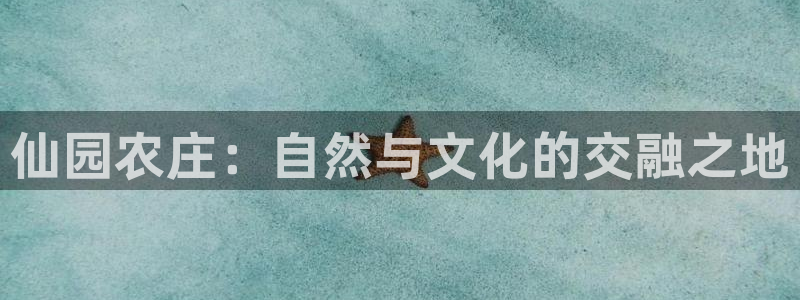 摩根娱乐宝注册