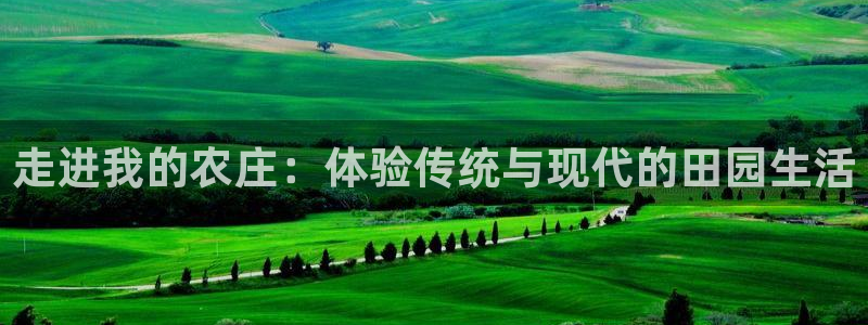 首页摩根娱乐平台