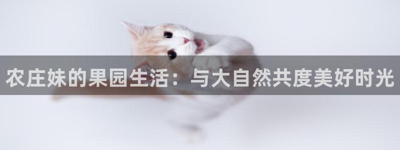 泉州摩根会娱乐保安公司