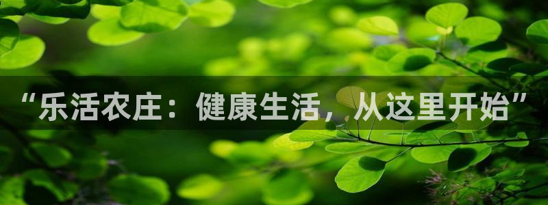 义乌摩根娱乐招聘少爷