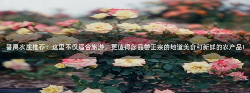 摩根大通旗下娱乐公司