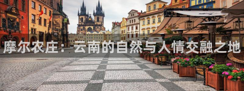 摩根 娱乐宝诈骗