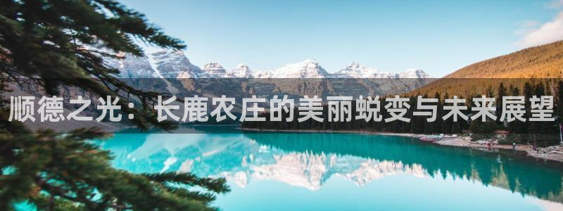 摩根娱乐宝收益怎么样