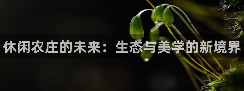 义乌摩根娱乐招聘少爷