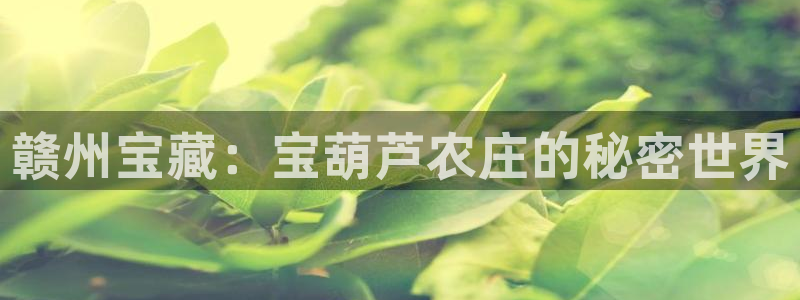 摩根国际娱乐宝进不去