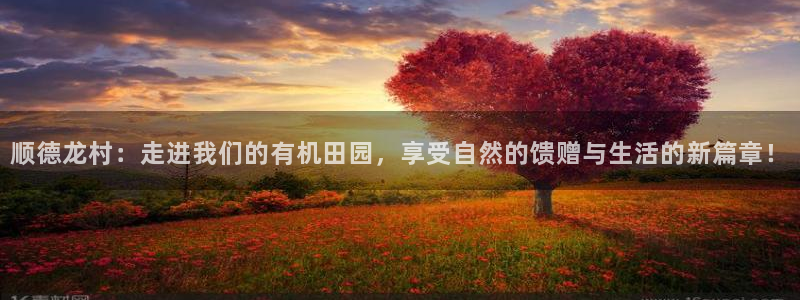 义乌摩根娱乐会所价格