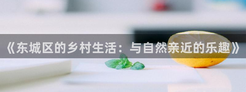 摩根娱乐宝怎么赚钱