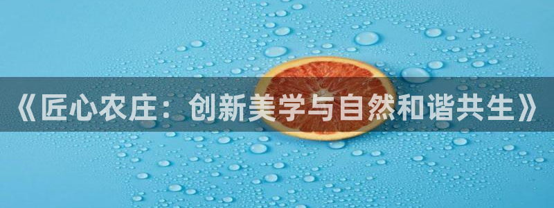 摩根国际娱乐宝官网