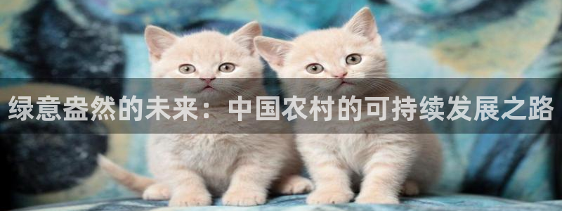 摩根娱乐宝怎么盈利