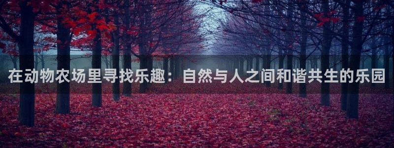 摩根娱乐宝官网百度