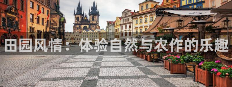 摩根娱乐公会创始人