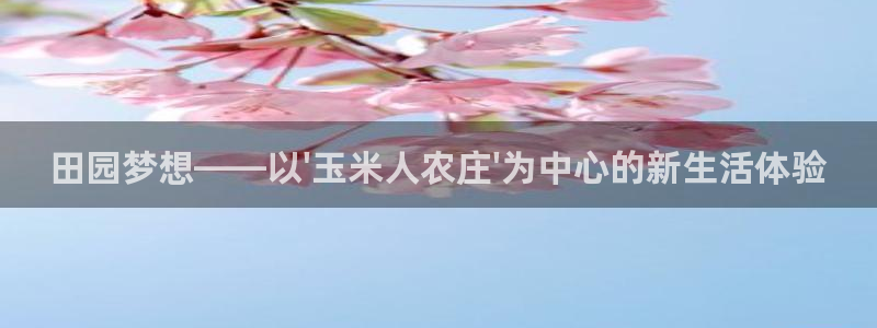 香港摩根娱乐宝