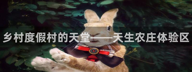 摩根娱乐宝是合法吗