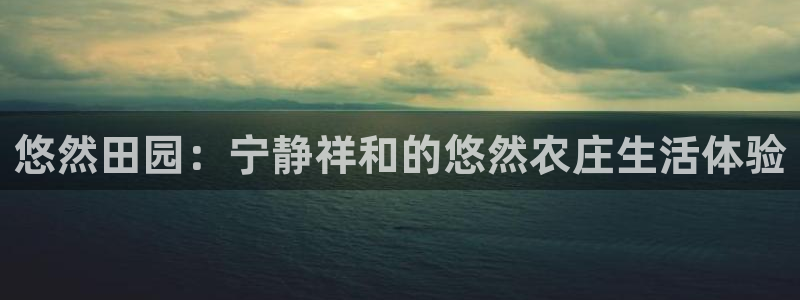 义务摩根娱乐会所