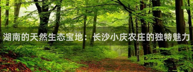 海贼王之娱乐摩根斯