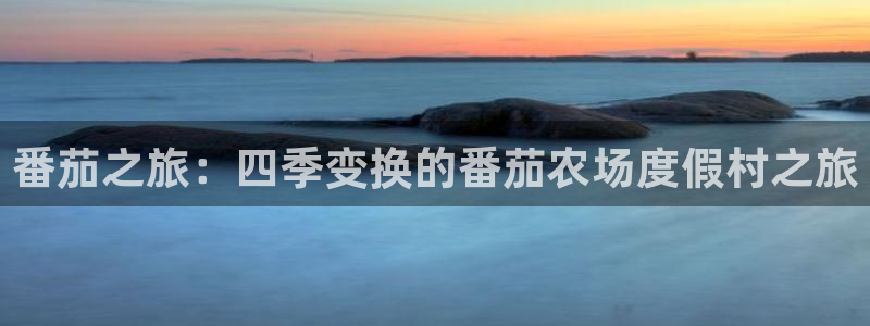 摩根士丹利凯撒娱乐