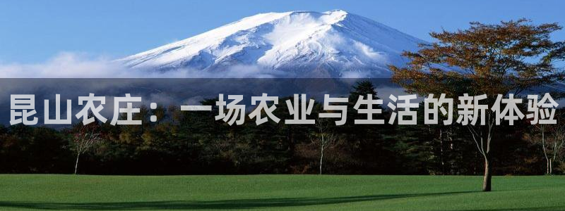 摩根娱乐宝打不开