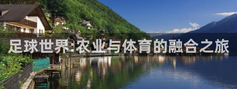 摩根国际商务娱乐会所