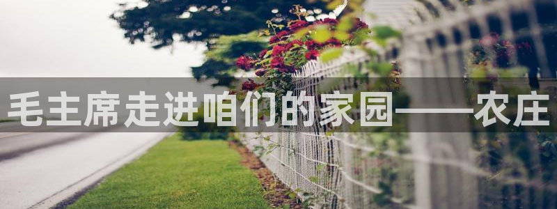 摩根娱乐宝 怎么样