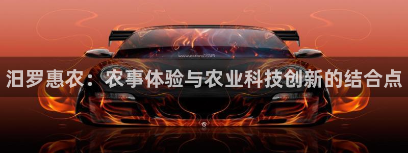 摩根娱乐宝怎么赚钱的