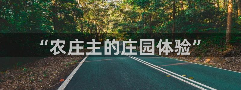 玩摩根娱乐宝亏了三千