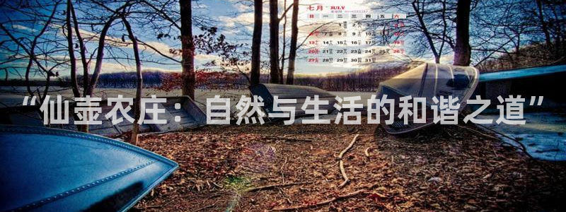 摩根娱乐宝被骗怎么办