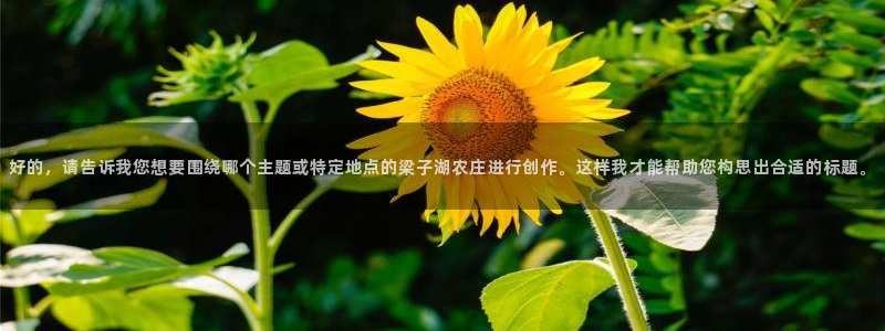 摩根娱乐注册m总管