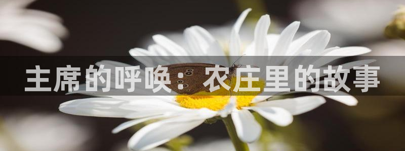 摩根娱乐包是什么意思