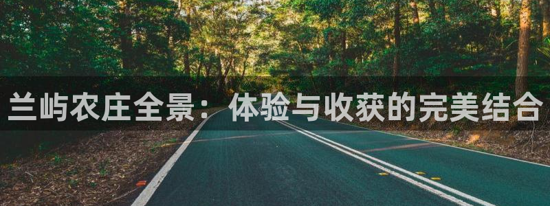 摩根国际亚太娱乐宝