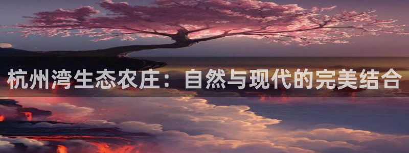 摩根娱乐↑总s管50015