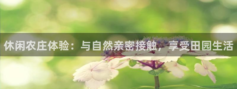 摩根娱乐是什么