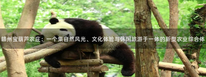 摩根娱乐宝是什么