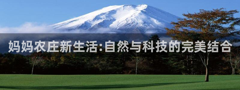 摩根娱乐宝怎么玩