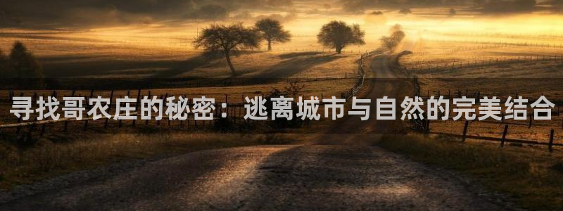 柬埔寨西港摩根娱乐