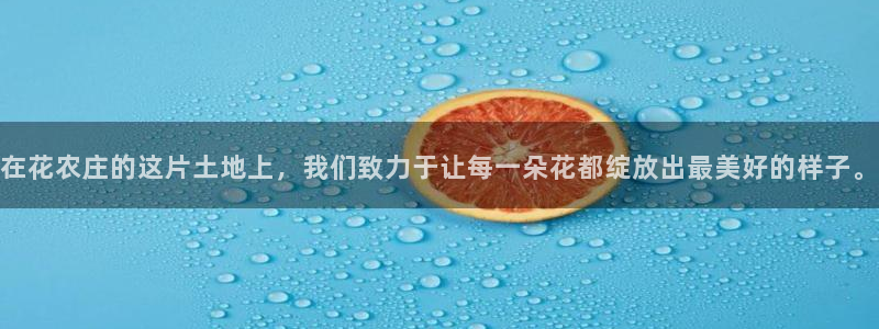 摩根娱乐宝怎么下载